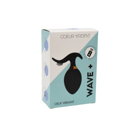 WAVE , Un Œuf vibrant noir USB avec stimulation clitoridienne, doté d'une télécommande