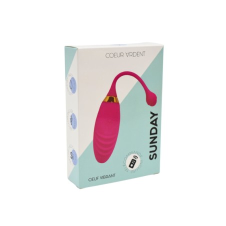 SUNDAY, Un Œuf vibrant USB avec télécommande, dans un silicone médical doux et rainuré 