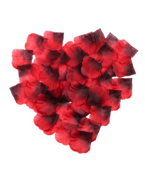 Pack de 100 Pétales de Rose