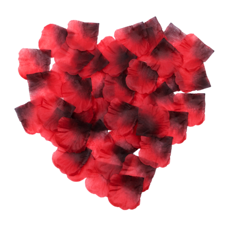 Pack de 100 Pétales de Rose