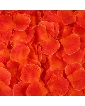 Pack de 100 Pétales de Rose