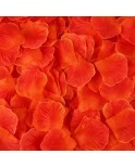 Pack de 100 Pétales de Rose Pack de 100 Pétales de Rose