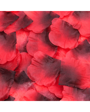 Pack de 100 Pétales de Rose