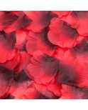 Pack de 100 Pétales de Rose Pack de 100 Pétales de Rose