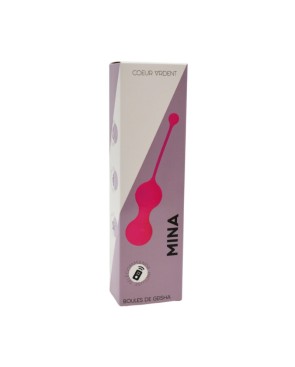 MINA Rose, Boules de Geisha en silicone médical USB avec télécommande