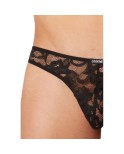 String Sensuality